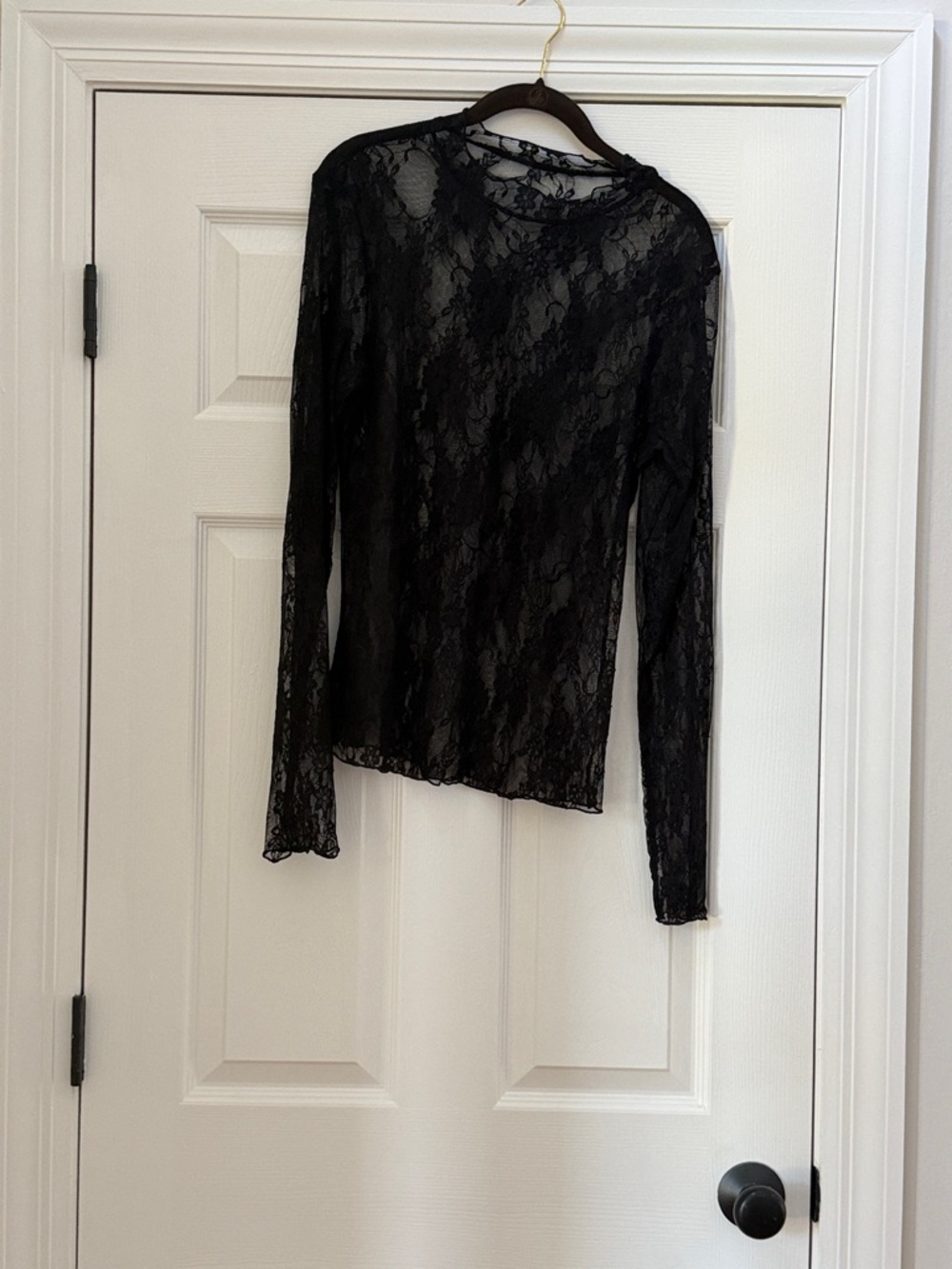 Sheer Lace Longsleeve